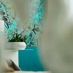 Luxury Experience | Welchome *